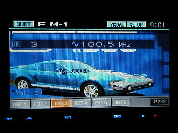 Ponies on The Run!-alpine-iva-w200-014.jpg