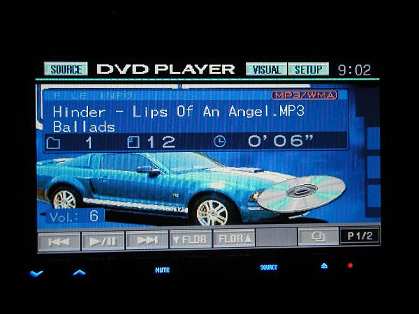 Ponies on The Run!-alpine-iva-w200-015.jpg