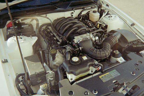 Ponies on The Run!-fh000014.jpg