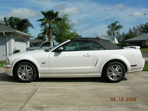 Ponies on The Run!-dscn2449.jpg