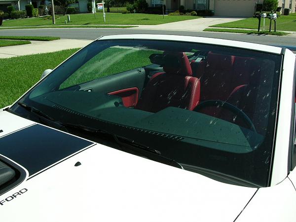 Ponies on The Run!-dscn3826.jpg