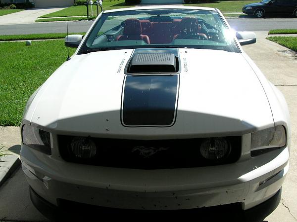 Ponies on The Run!-dscn3827.jpg