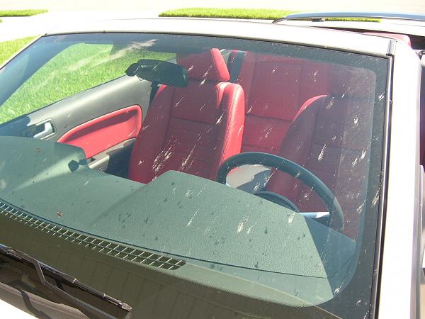 Ponies on The Run!-dscn3829.jpg