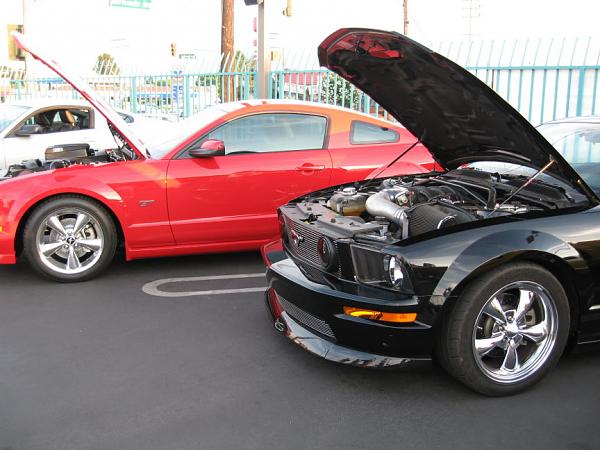 Ponies on The Run!-bullitt-comparison.jpg