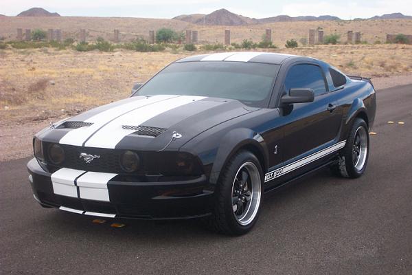 Ponies on The Run!-black05deepdish.jpg