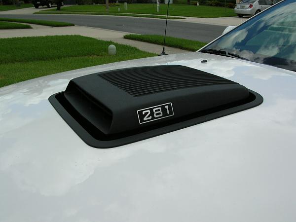 Ponies on The Run!-dscn3613.jpg