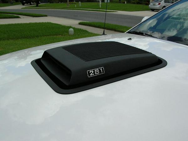 Ponies on The Run!-dscn3613b.jpg