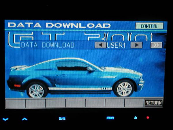 Ponies on The Run!-09-23-06011.jpg