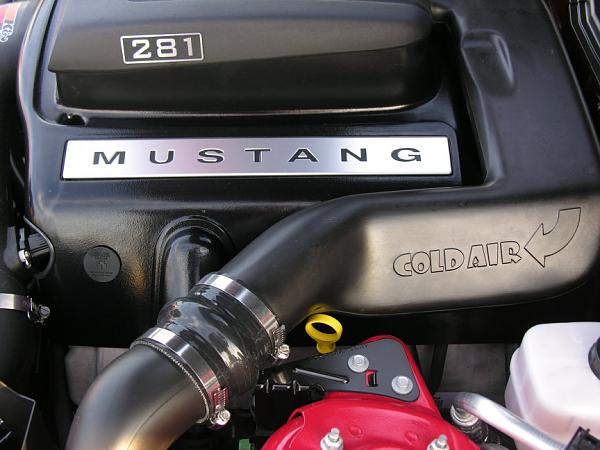 Ponies on The Run!-dscn5316m.jpg