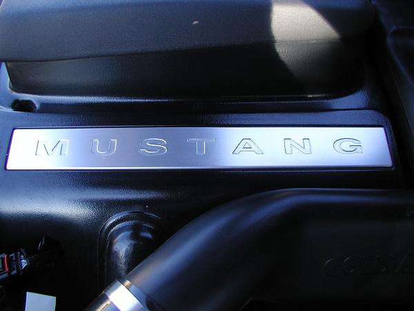 Ponies on The Run!-shaker-before.jpg