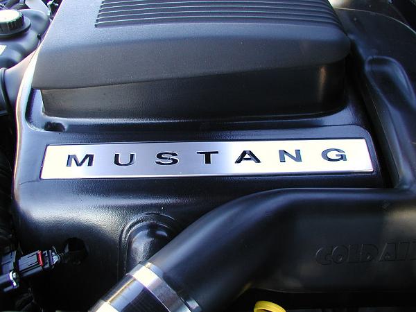 Ponies on The Run!-shaker-after.jpg