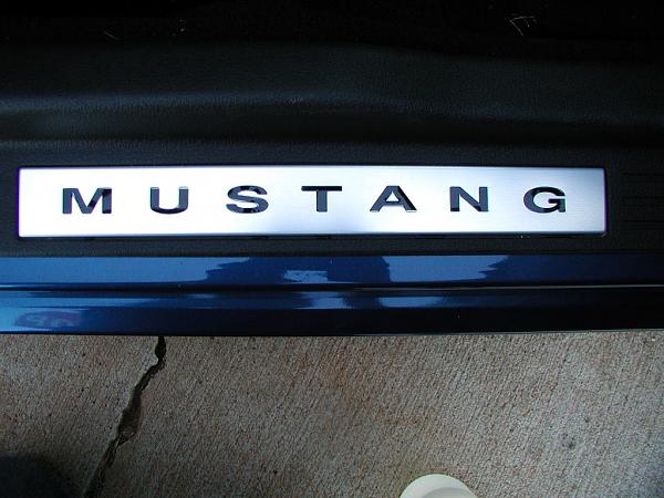 Ponies on The Run!-door-sill-after.jpg