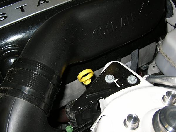 Ponies on The Run!-dscn3849.jpg