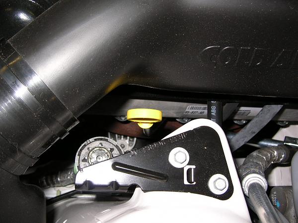 Ponies on The Run!-dscn3856.jpg