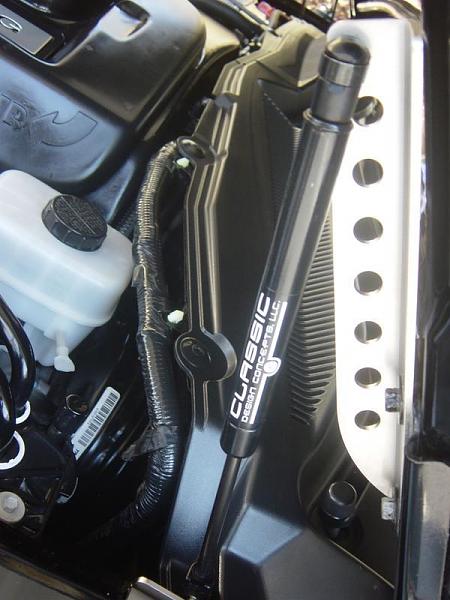 Ponies on The Run!-showready045.jpg