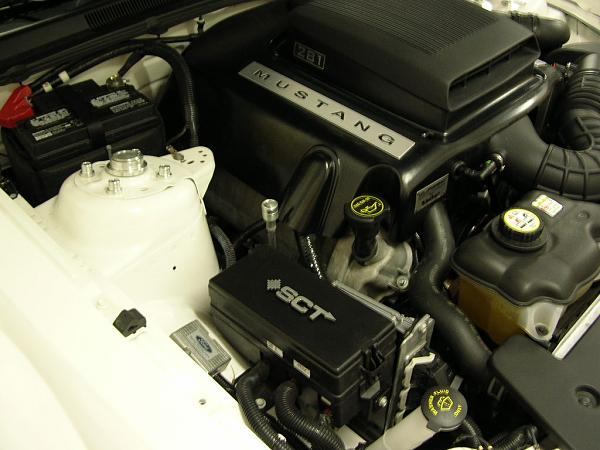 Ponies on The Run!-dscn3864.jpg