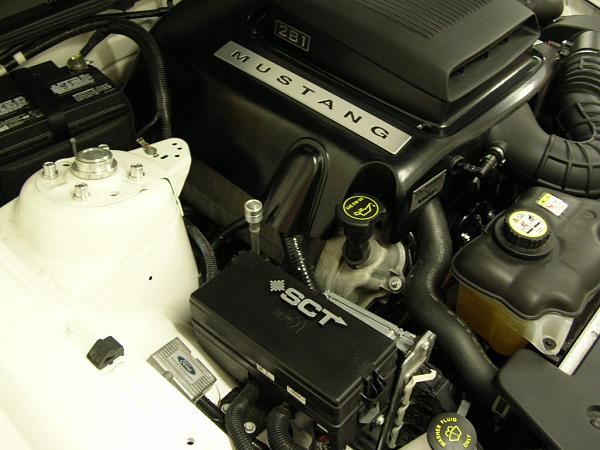 Ponies on The Run!-dscn3865.jpg