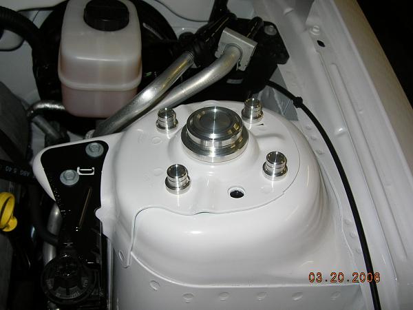 Ponies on The Run!-strut-stud.jpg