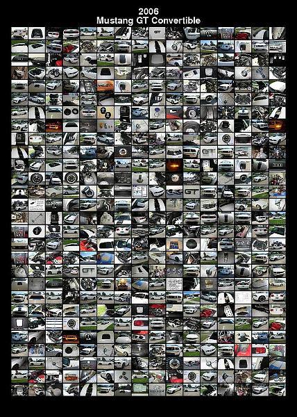 Ponies on The Run!-draw_image.php.jpg