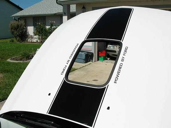 Ponies on The Run!-dscn3678.jpg