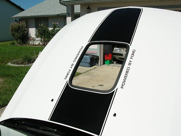 Ponies on The Run!-test.jpg