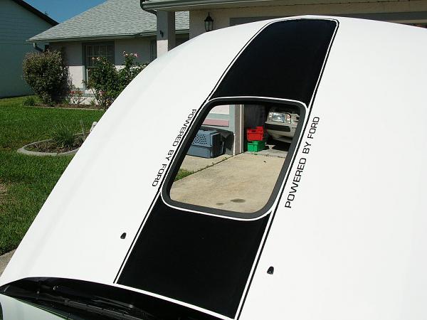 Ponies on The Run!-test2.jpg