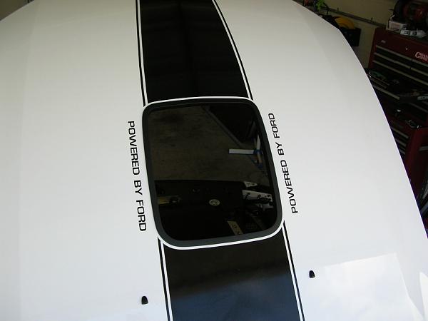 Ponies on The Run!-dscn3692.jpg