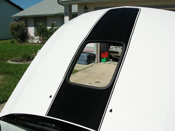 Ponies on The Run!-test4.jpg