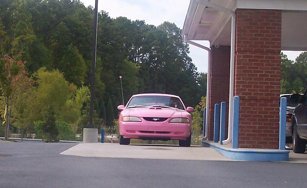 look what i found: pink mustang-100_1620f.jpg