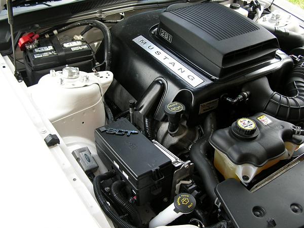 Ponies on The Run!-dscn3909.jpg