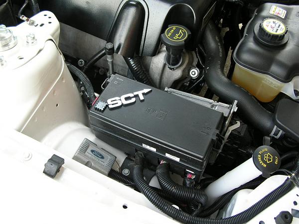 Ponies on The Run!-dscn3910.jpg