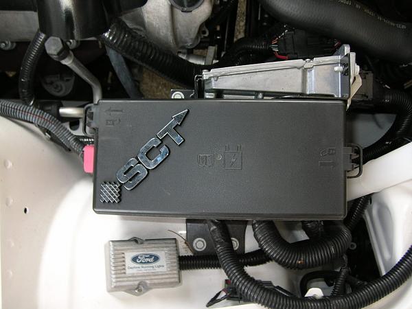 Ponies on The Run!-dscn3911.jpg