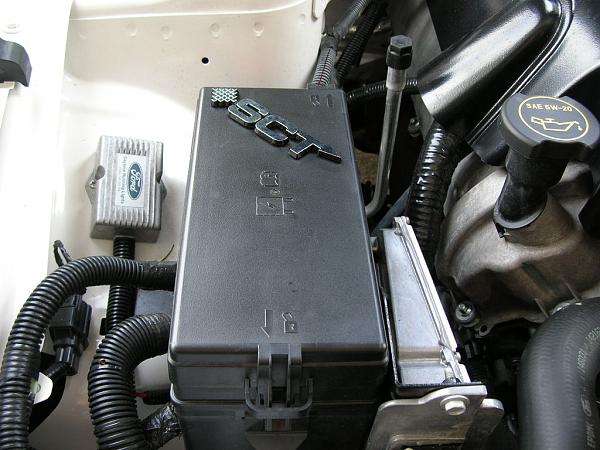 Ponies on The Run!-dscn3912.jpg