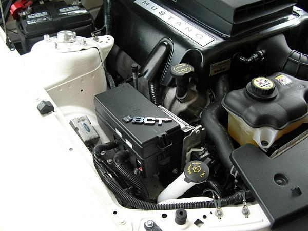 Ponies on The Run!-dscn3913.jpg