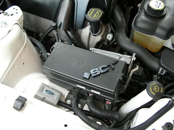 Ponies on The Run!-dscn3914.jpg