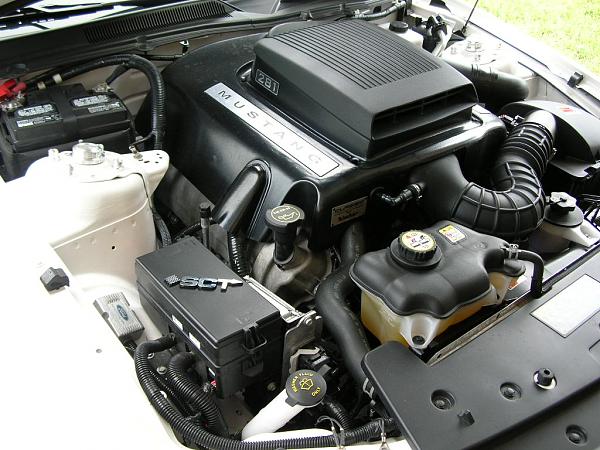 Ponies on The Run!-dscn3915.jpg