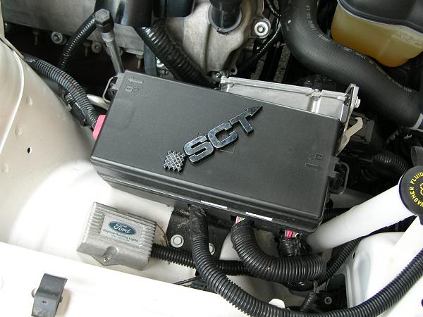 Ponies on The Run!-dscn3916.jpg