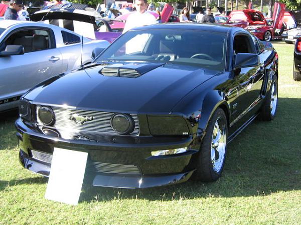 Ponies on The Run!-img_2057.jpg