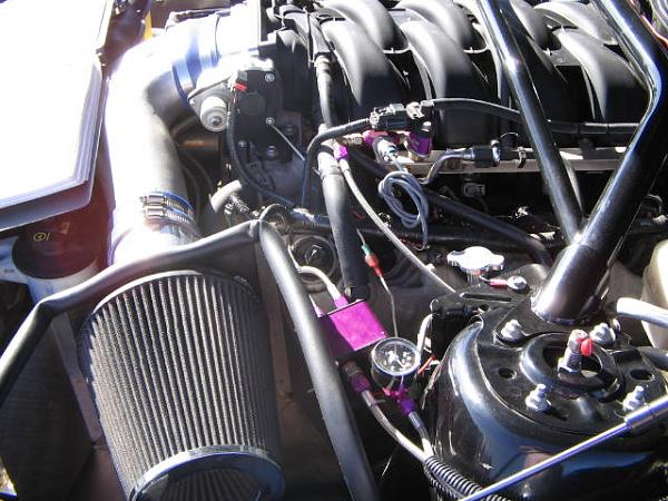 Ponies on The Run!-img_2051.jpg