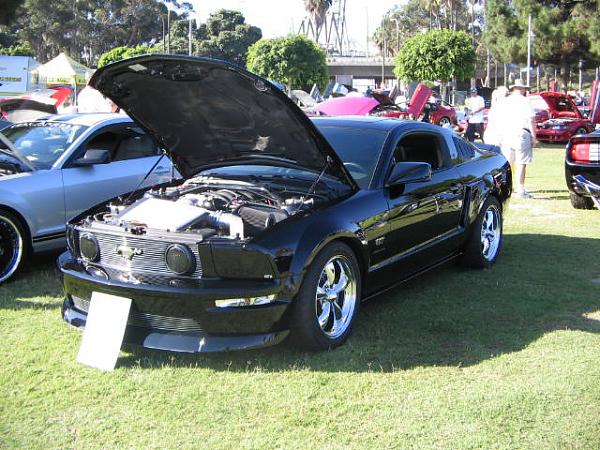 Ponies on The Run!-img_2047.jpg