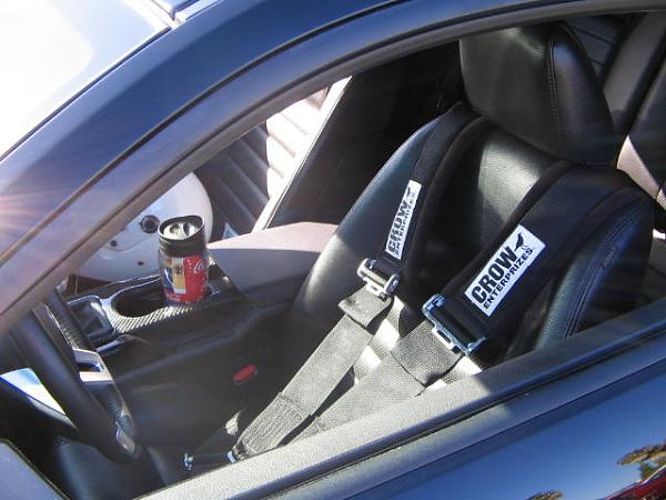 Ponies on The Run!-img_2052.jpg