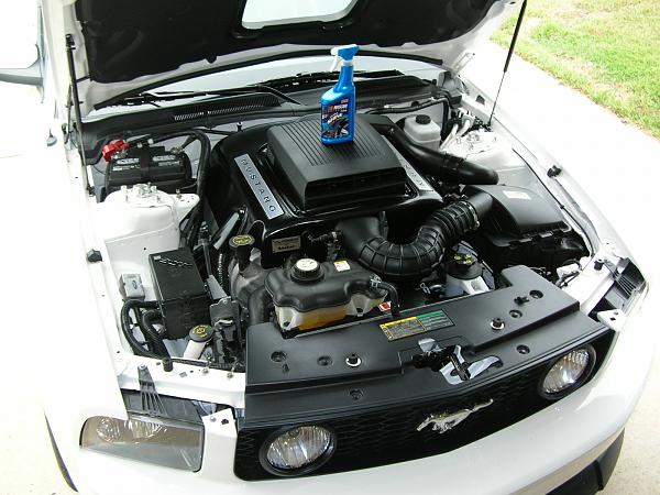 Ponies on The Run!-dscn3926.jpg