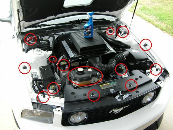 Ponies on The Run!-toms-engine-bay.jpg