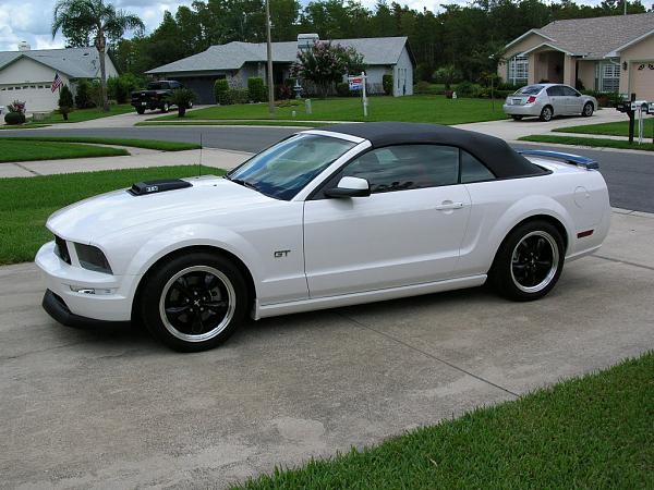 Ponies on The Run!-dscn3605.jpg