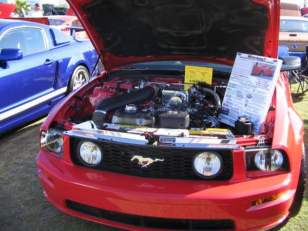 Ponies on The Run!-img_2081.jpg