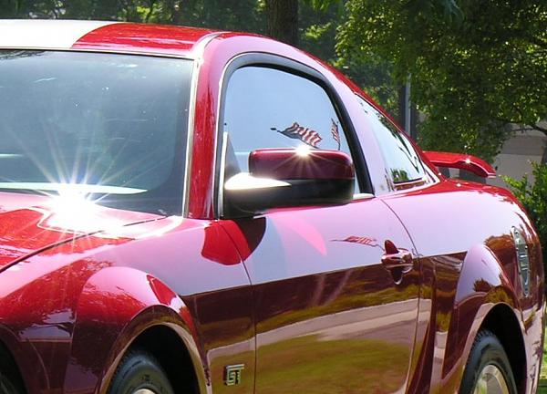 Ponies on The Run!-flag-reflections.jpg