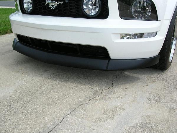 Ponies on The Run!-dscn3943.jpg