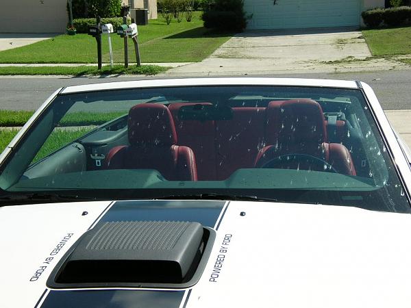 Ponies on The Run!-dscn3828.jpg