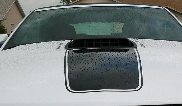 Ponies on The Run!-support.jpg