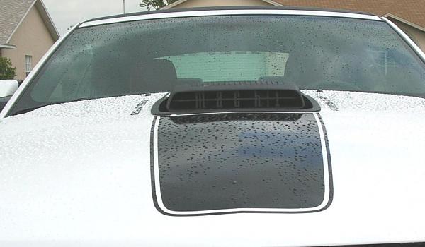 Ponies on The Run!-supportb.jpg